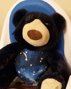 Night time Buddies (257)
