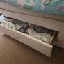 Single Bed Image 2