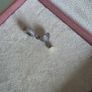 Pandora pave cocktail glass charm perfect condition fully hallmarked Image 4