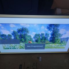LG Oled 55 inch TV