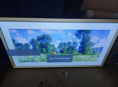 LG Oled 55 inch TV