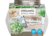 Buzzy Organic Sprouting Pot Daikon Microgreens 7.5g