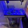 Aqua One Aquarium 75 litre with Cabinet, Heater, Light & Filter Image 2