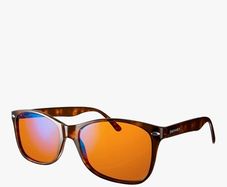 Sunglass