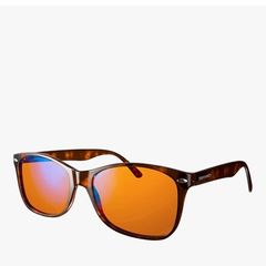 Sunglass