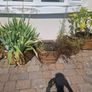 Planters Image 8