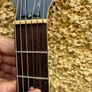 Gibson Les Paul Special Tribute (2019) Image 5