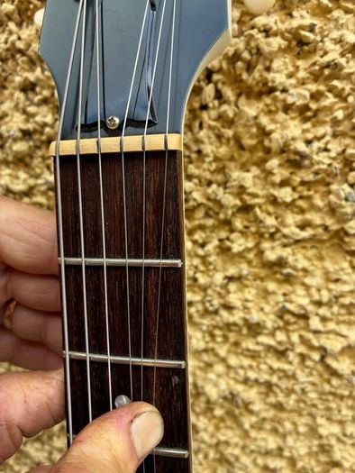 Gibson Les Paul Special Tribute (2019)