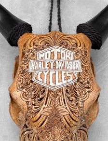 harley skull