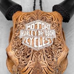 harley skull