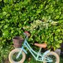 Somerby Pendleton Balance bike Image 10