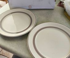 Keltcraft Designed By Noritake Detergent-safe Oven-safe Ireland 9117 Nutmeg  2 dinner plates .