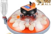NEW SALE | Egg Incubator Incubators for Hatching Eggs Auto Egg Turning 24 Eggs