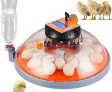 NEW SALE | Egg Incubator Incubators for Hatching Eggs Auto Egg Turning 24 Eggs