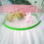 Small fish tank with light. Image 3