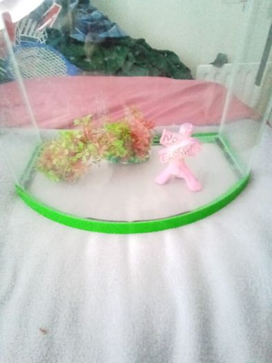 Small fish tank with light.