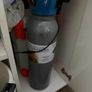 5L Co2 Bottle Full Set with plants Image 2
