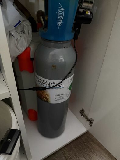 5L Co2 Bottle Full Set with plants