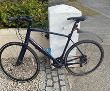 Giant Fastroad SL 2 XL Frame Bike