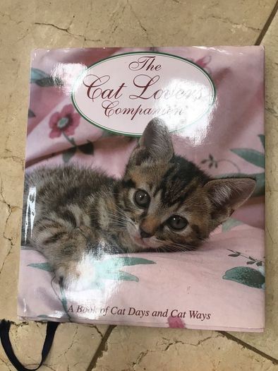 Cat Companion birthday book