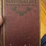 My Life As A Naturalistic. By W. Percival Westell. First Edition 1918 Hardback In Fair Condition.  See Photos For Same. Image 2