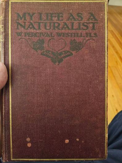 My Life As A Naturalistic. By W. Percival Westell. First Edition 1918 Hardback In Fair Condition.  See Photos For Same.