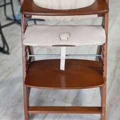 Hauk High-Chair and Pads