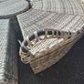 Outdoor chair Image 3