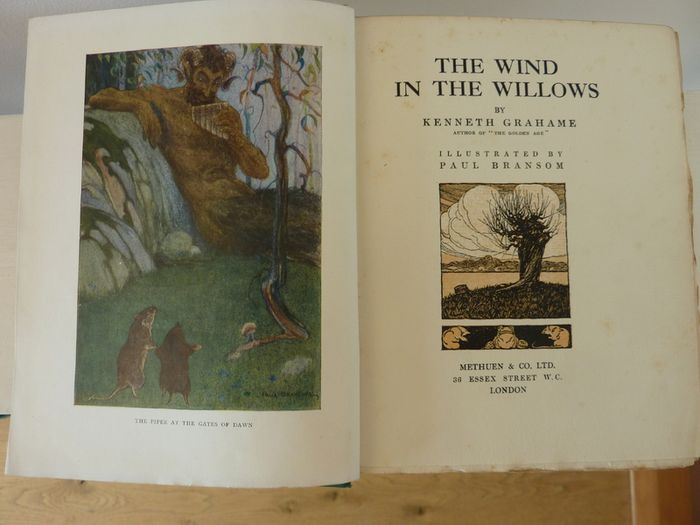The Wind in the willows (book)