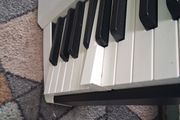 casio px 5s broken