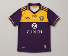 Wexford 2019/2020 Ladies GAA Jersey  Size UK10