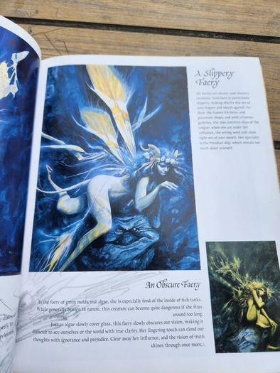 Good Faeries Bad Faeries. By Brian Froud. Edited By  Terri Windling. First Edition Large Volume Paperback In Very Good Condition.