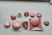liverpool badges