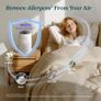 Air Purifier for Bedroom Home, Quiet HEPA Filter Cleaner with Fragrance Sponge & 3 Speed for Better Sleep, Air Frenshener, Allergies, Dust, Pet Dander, Odour, Smoke, Office, Desktop, Core Mini Image 3