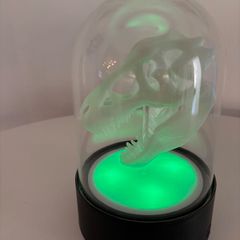 Dinosaur Head