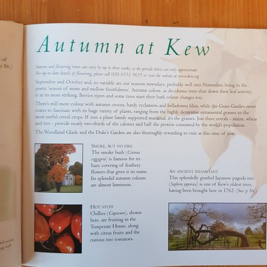 Kew Royal Botanic Kew Gardens Souvenir Guide.