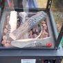 Gas Patio Heater Image 2