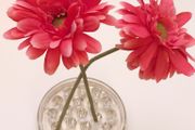 Vintage 19 x Hole Clear Depression Glass Flower Frog.
