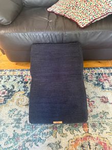 Foam Dog ramp / step