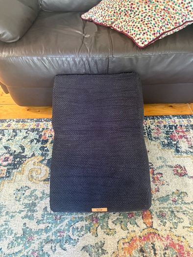 Foam Dog ramp / step