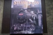 'Steam Trains: A World Portrait' by Colin Garratt.