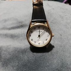 Title: Men's Citron S56SS Quartz Watch - Classic Gold Tone & Black Leather