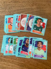 World Cup Panini Stickers