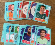 World Cup Panini Stickers