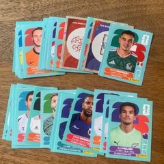 World Cup Panini Stickers