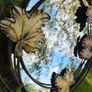 vintage mirror Image 4