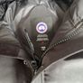 canada goose Image 3