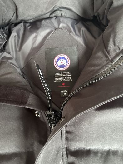 canada goose