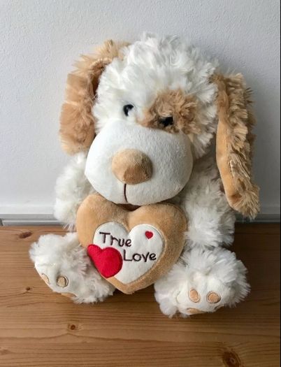 valentines gift teddy