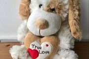 valentines gift teddy